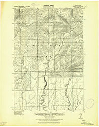 Satsop Washington Historical topographic map, 1:62500 scale, 15 X 15 Minute, Year 1921