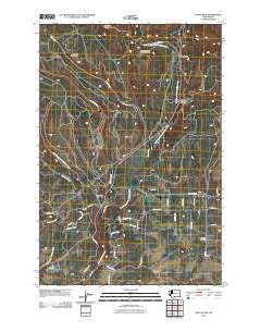 Satus Pass Washington Historical topographic map, 1:24000 scale, 7.5 X 7.5 Minute, Year 2011