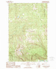 Sauk Mountain Washington Historical topographic map, 1:24000 scale, 7.5 X 7.5 Minute, Year 1989