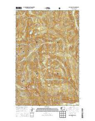 Sauk Mountain Washington Current topographic map, 1:24000 scale, 7.5 X 7.5 Minute, Year 2014