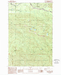 Sawtooth Ridge Washington Historical topographic map, 1:24000 scale, 7.5 X 7.5 Minute, Year 1989
