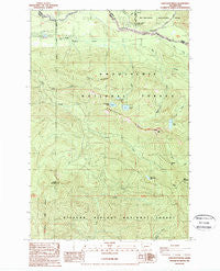 Sawtooth Ridge Washington Historical topographic map, 1:24000 scale, 7.5 X 7.5 Minute, Year 1989