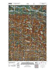 Sawtooth Ridge Washington Historical topographic map, 1:24000 scale, 7.5 X 7.5 Minute, Year 2011