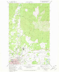 Sedro-Woolley North Washington Historical topographic map, 1:24000 scale, 7.5 X 7.5 Minute, Year 1981
