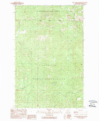 Seventeenmile Mountain Washington Historical topographic map, 1:24000 scale, 7.5 X 7.5 Minute, Year 1989