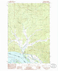 Shamokawa Washington Historical topographic map, 1:24000 scale, 7.5 X 7.5 Minute, Year 1985