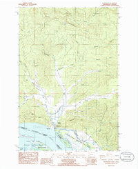 Shamokawa Washington Historical topographic map, 1:24000 scale, 7.5 X 7.5 Minute, Year 1985
