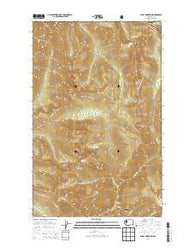 Shull Mountain Washington Current topographic map, 1:24000 scale, 7.5 X 7.5 Minute, Year 2014