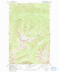 Silver Star Mountain Washington Historical topographic map, 1:24000 scale, 7.5 X 7.5 Minute, Year 1963