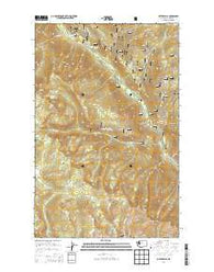Silver Falls Washington Current topographic map, 1:24000 scale, 7.5 X 7.5 Minute, Year 2014