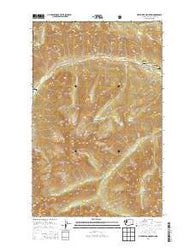 Silver Star Mountain Washington Current topographic map, 1:24000 scale, 7.5 X 7.5 Minute, Year 2014