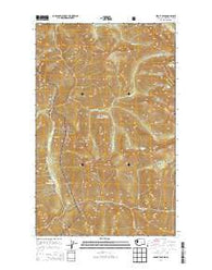 Skagit Peak Washington Current topographic map, 1:24000 scale, 7.5 X 7.5 Minute, Year 2014