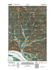 Skamokawa Washington Historical topographic map, 1:24000 scale, 7.5 X 7.5 Minute, Year 2011