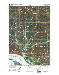 Skamokawa Washington Historical topographic map, 1:24000 scale, 7.5 X 7.5 Minute, Year 2011