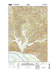 Skamokawa Washington Current topographic map, 1:24000 scale, 7.5 X 7.5 Minute, Year 2014
