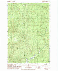 Skamokawa Pass Washington Historical topographic map, 1:24000 scale, 7.5 X 7.5 Minute, Year 1985