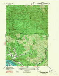 Skamokawa Washington Historical topographic map, 1:62500 scale, 15 X 15 Minute, Year 1941