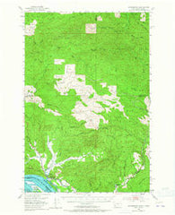 Skamokawa Washington Historical topographic map, 1:62500 scale, 15 X 15 Minute, Year 1953