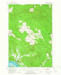 Skamokawa Washington Historical topographic map, 1:62500 scale, 15 X 15 Minute, Year 1953
