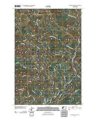 Skamokawa Pass Washington Historical topographic map, 1:24000 scale, 7.5 X 7.5 Minute, Year 2011