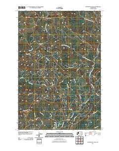 Skamokawa Pass Washington Historical topographic map, 1:24000 scale, 7.5 X 7.5 Minute, Year 2011