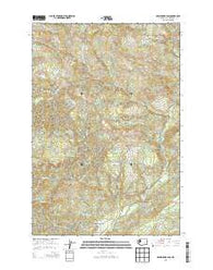 Skamokawa Pass Washington Current topographic map, 1:24000 scale, 7.5 X 7.5 Minute, Year 2013