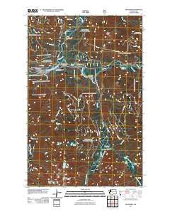 Skykomish Washington Historical topographic map, 1:24000 scale, 7.5 X 7.5 Minute, Year 2011