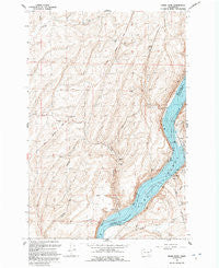 Snake River Washington Historical topographic map, 1:24000 scale, 7.5 X 7.5 Minute, Year 1991