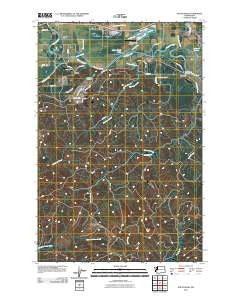 South Elma Washington Historical topographic map, 1:24000 scale, 7.5 X 7.5 Minute, Year 2011
