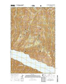 South Navarre Peak Washington Current topographic map, 1:24000 scale, 7.5 X 7.5 Minute, Year 2014
