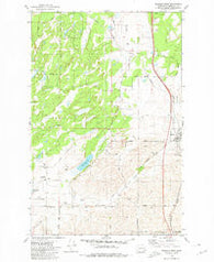 Spangle West Washington Historical topographic map, 1:24000 scale, 7.5 X 7.5 Minute, Year 1980