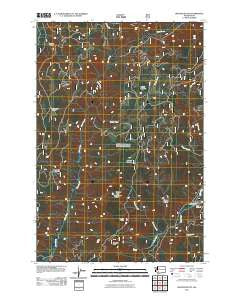 Spencer Butte Washington Historical topographic map, 1:24000 scale, 7.5 X 7.5 Minute, Year 2011