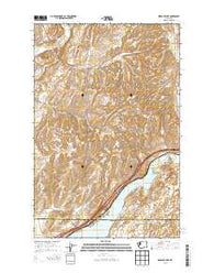 Sprague Lake Washington Current topographic map, 1:24000 scale, 7.5 X 7.5 Minute, Year 2013
