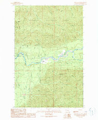 Spruce Mountain Washington Historical topographic map, 1:24000 scale, 7.5 X 7.5 Minute, Year 1990