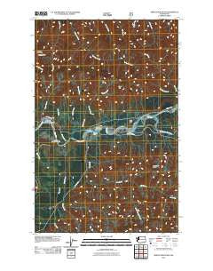Spruce Mountain Washington Historical topographic map, 1:24000 scale, 7.5 X 7.5 Minute, Year 2011
