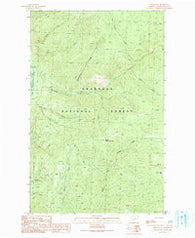 Spur Peak Washington Historical topographic map, 1:24000 scale, 7.5 X 7.5 Minute, Year 1991