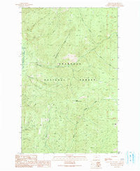 Spur Peak Washington Historical topographic map, 1:24000 scale, 7.5 X 7.5 Minute, Year 1991