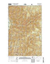 Spur Peak Washington Current topographic map, 1:24000 scale, 7.5 X 7.5 Minute, Year 2014