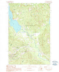 Stampede Pass Washington Historical topographic map, 1:24000 scale, 7.5 X 7.5 Minute, Year 1989