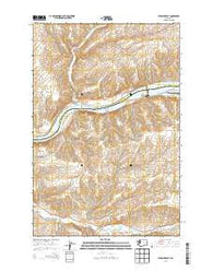 Starbuck East Washington Current topographic map, 1:24000 scale, 7.5 X 7.5 Minute, Year 2013