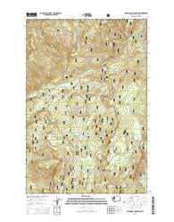Steamboat Mountain Washington Current topographic map, 1:24000 scale, 7.5 X 7.5 Minute, Year 2014