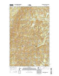 Stensgar Mountain Washington Current topographic map, 1:24000 scale, 7.5 X 7.5 Minute, Year 2014