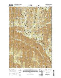 Stentz Spring Washington Current topographic map, 1:24000 scale, 7.5 X 7.5 Minute, Year 2013
