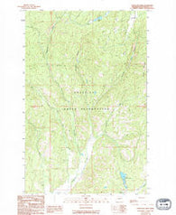 Stepstone Creek Washington Historical topographic map, 1:24000 scale, 7.5 X 7.5 Minute, Year 1989