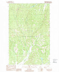 Stepstone Creek Washington Historical topographic map, 1:24000 scale, 7.5 X 7.5 Minute, Year 1989