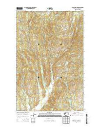 Stepstone Creek Washington Current topographic map, 1:24000 scale, 7.5 X 7.5 Minute, Year 2014