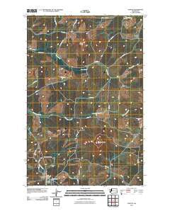Steptoe Washington Historical topographic map, 1:24000 scale, 7.5 X 7.5 Minute, Year 2011