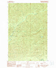 Stequaleho Creek Washington Historical topographic map, 1:24000 scale, 7.5 X 7.5 Minute, Year 1990