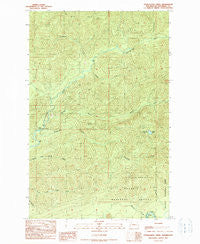 Stequaleho Creek Washington Historical topographic map, 1:24000 scale, 7.5 X 7.5 Minute, Year 1990
