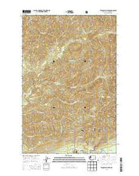 Stequaleho Creek Washington Current topographic map, 1:24000 scale, 7.5 X 7.5 Minute, Year 2014